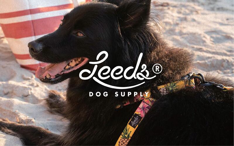Leeds Dog Supply（リーズドッグサプライ）/ ドッグカラー Sサイズ ARROYO Elama