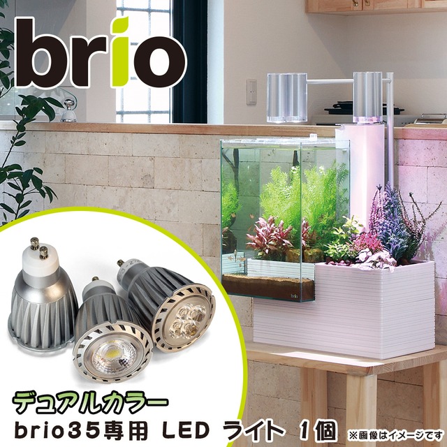 brio(ブリオ) 35専用 LED バルブ ライト