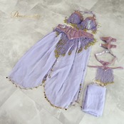 ベリーダンス オリエンタル 衣装 上下セット パープル系 トップス スカート ベルト チョーカー ベール アーム 紫 金 フリンジ 淡い 装飾 豪華 アーム飾り 腕飾り かわいい スリット 華やか ダンス衣装 イベント ステージ