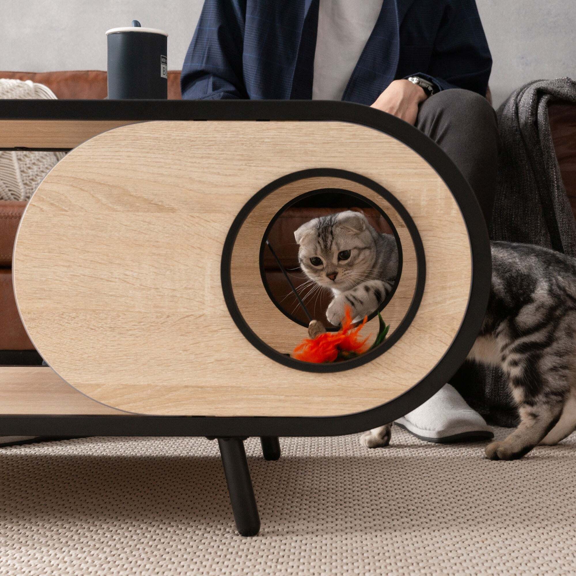 テーブル/猫ハウス】COSMOS-MYZOO【nekokobo select】 | 猫のための