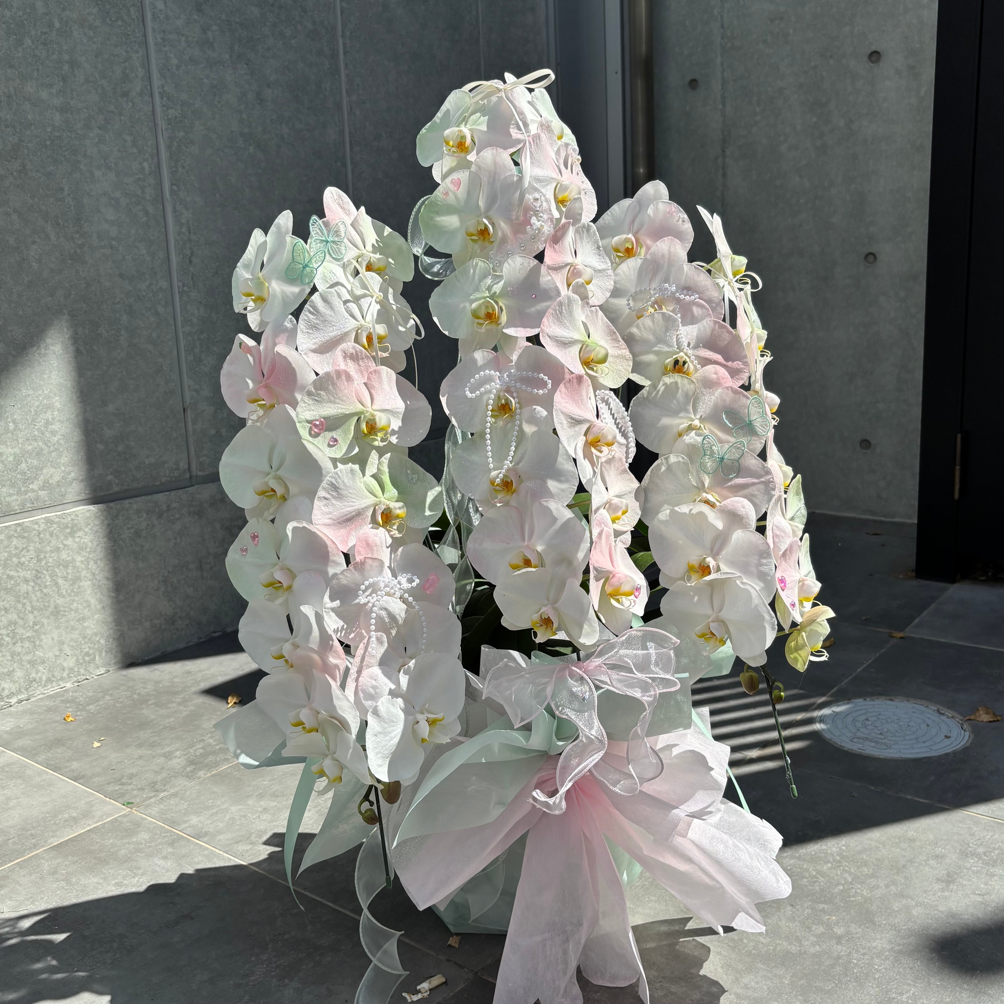 Bébé Bouquet