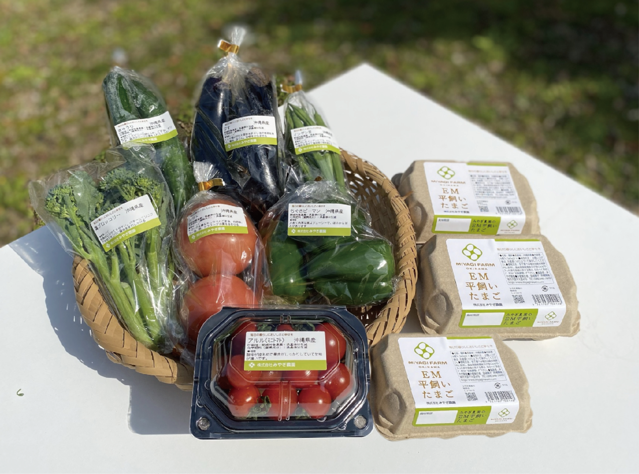 P.沖縄県産おまかせ野菜と卵セット〈野菜5〜6種類(2~3人向け)と卵6個×3パック〉