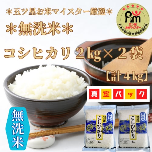 希少】ミルキースター 酵素米 玄米20kg「無洗米に精米