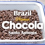 ブラジル / プレミアムショコラ サントアントニオ