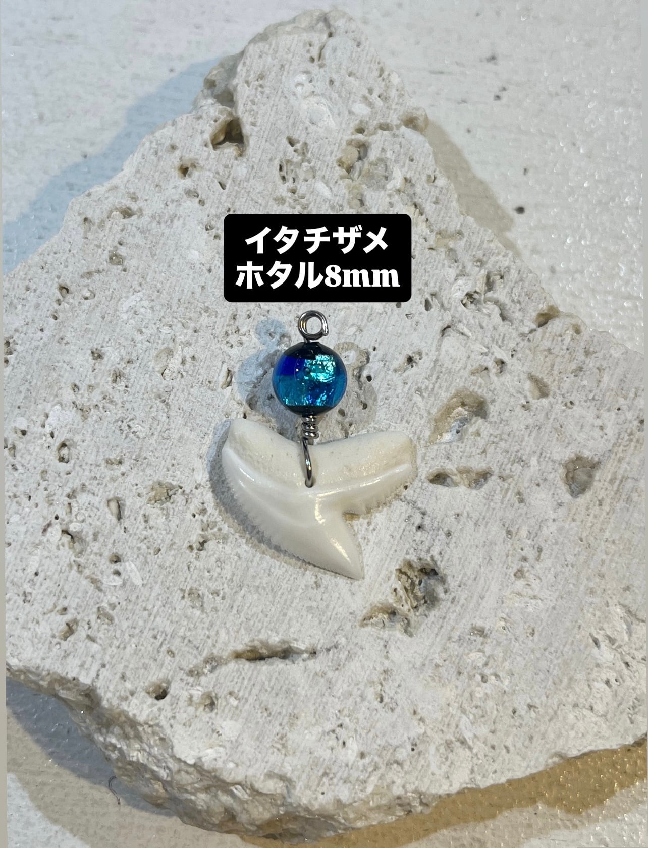 サメの歯 | SANBASHI 平和通り