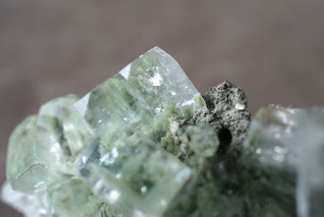 キュービックアポフィライト(クローライトインクルージョン) Apophylite / Chlorite 950