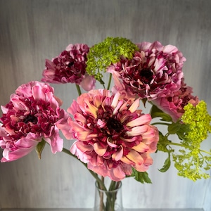 【限定セット　即出荷】華やかラナンキュラス　シャルロットとビバーナムのセット