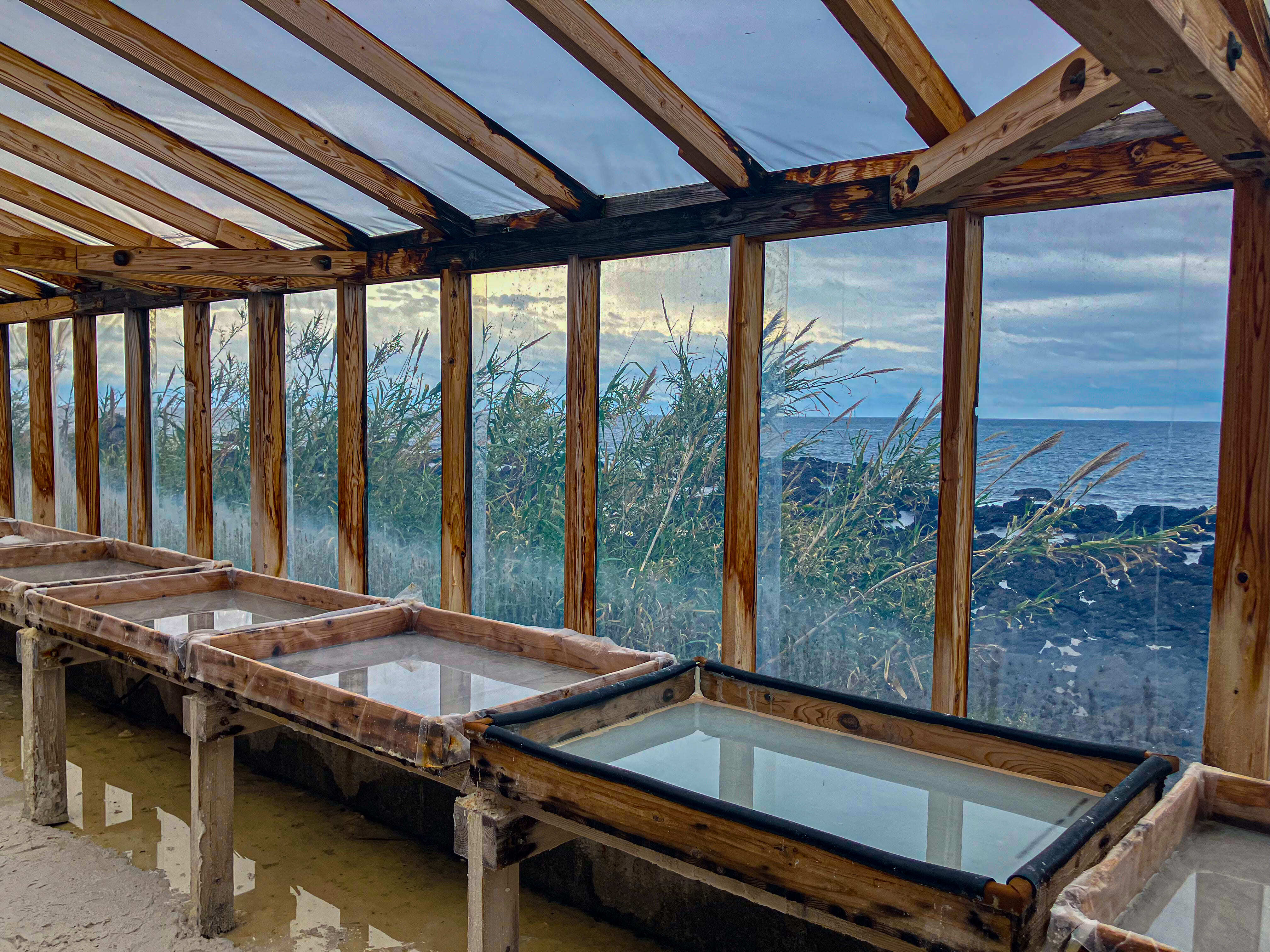 寄せ豆腐バラエティーセット