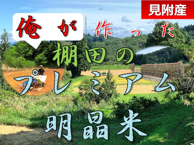 【令和5年産完売】「プレミアム明晶米」流通していないコシヒカリ（30kg）