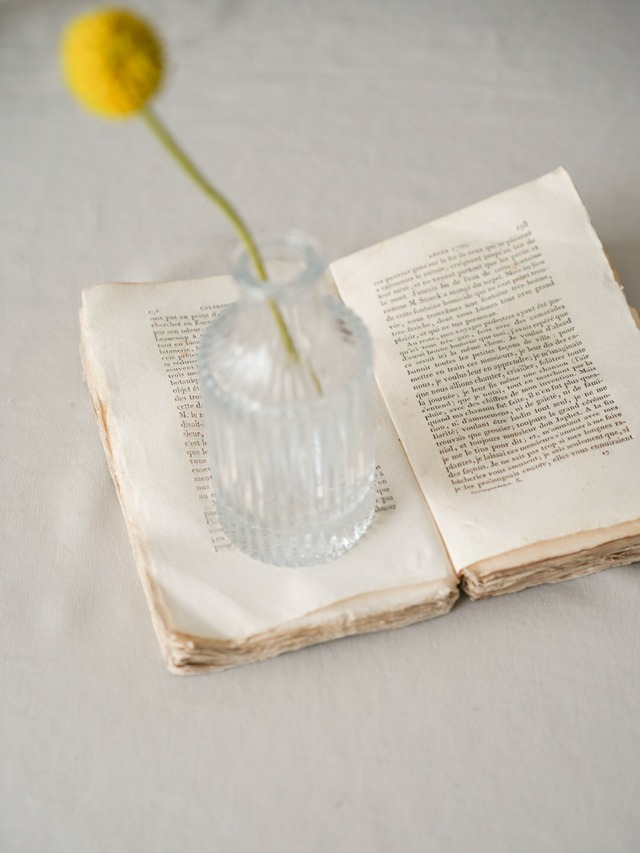 〈即納アイテム〉花びんと選べるお花セット B