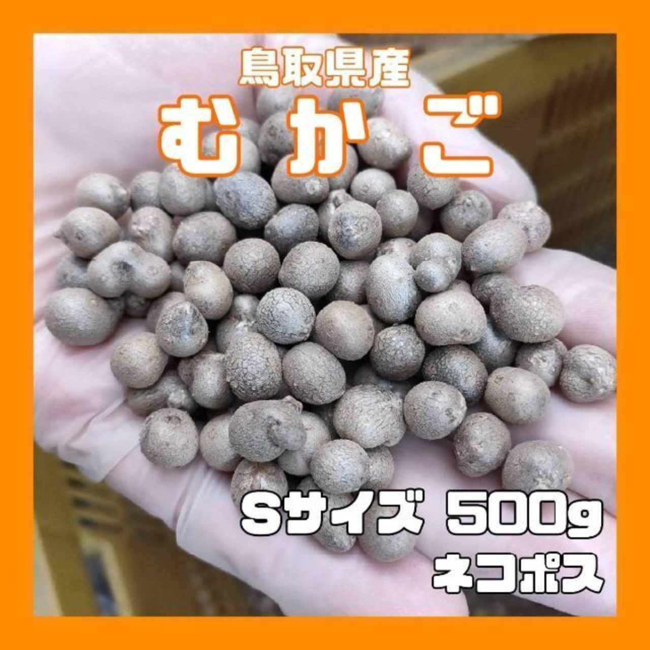 鳥取県産　むかご　S　1cm未満　500g　ムカゴ　ネコポス　長芋