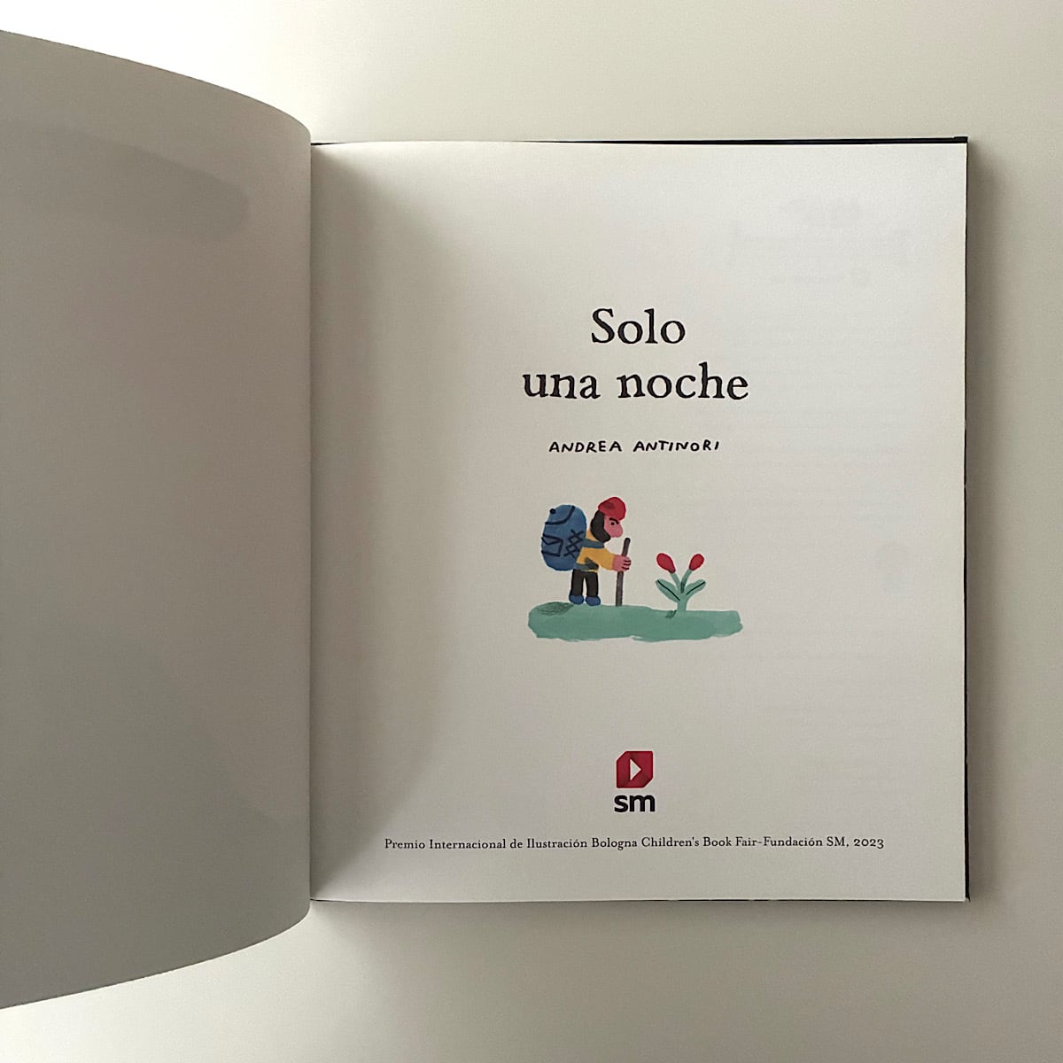 Solo una noche / ある夜に | 素敵な洋書絵本のお店 Read Leaf Books