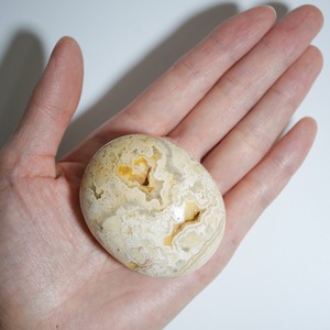 クレイジーレースアゲート イエロー / パーム