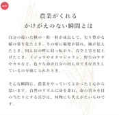 定期便5kg  石川県産「はたはったん」
