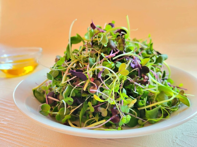 CHEF'S HERB BOX