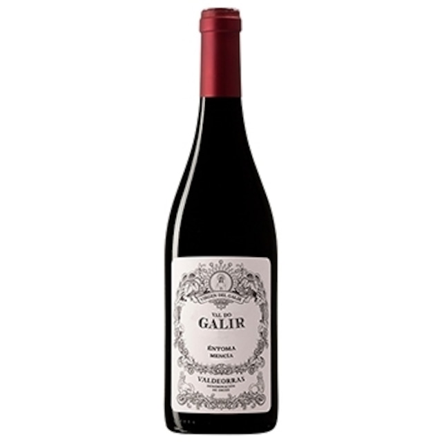バル・ド・ガリル メンシア 22 ビルヘン・デル・ガリル VAL DO GALIR Mencia 22 Virgen del Galir