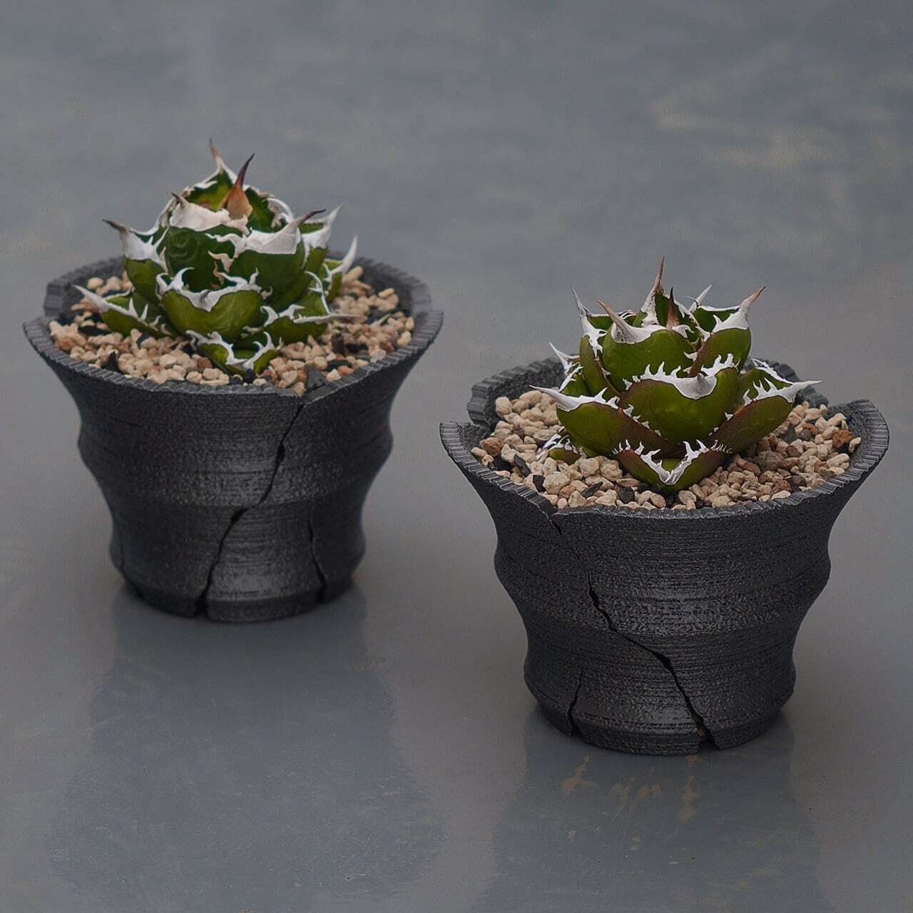 Green Mountain クラックスリット鉢 G 大鉢 (15cm) | one4