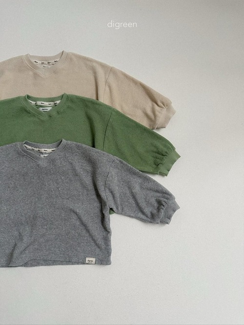 【 digreen / 予約 】Sand terry sweatshirt