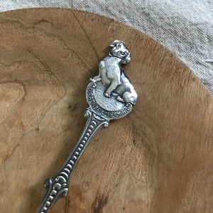 犬のティースプーン1