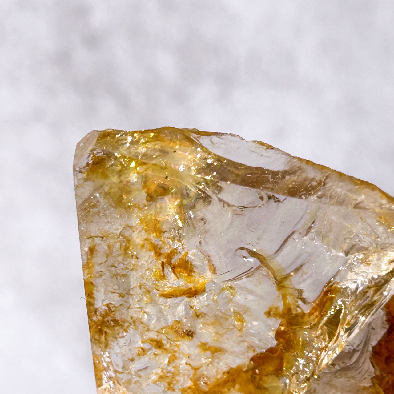 ゴールデンヒーラー スライス