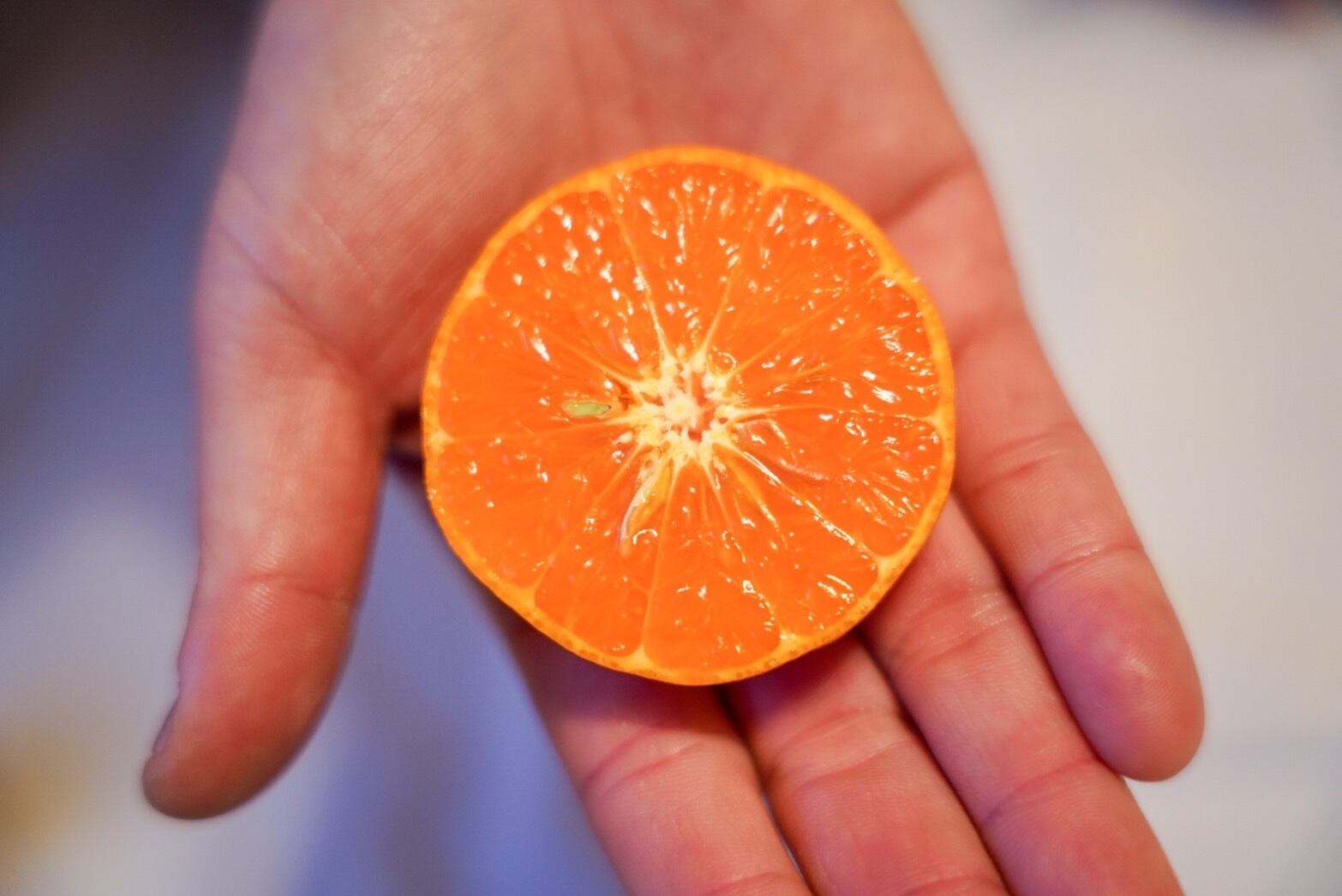 レアみかん たまみちゃん（家庭用） 1kg〜10kg | わらしべ。