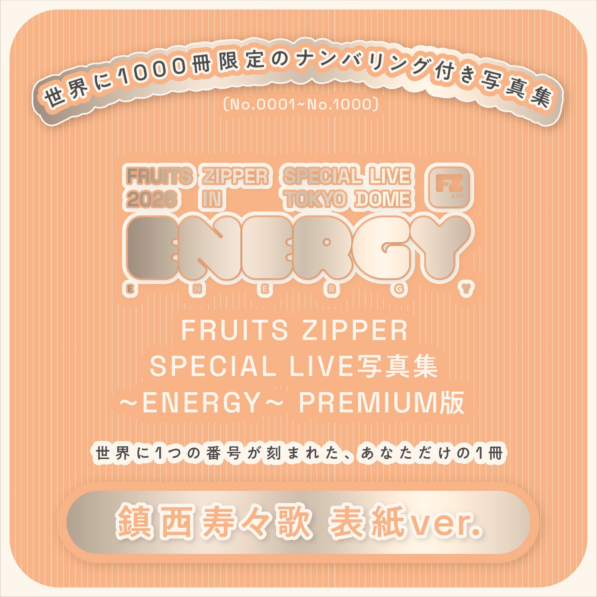 在庫残りわずか※【PREMIUM版】FRUITS ZIPPER SPECIAL LIVE写真集 鎮西