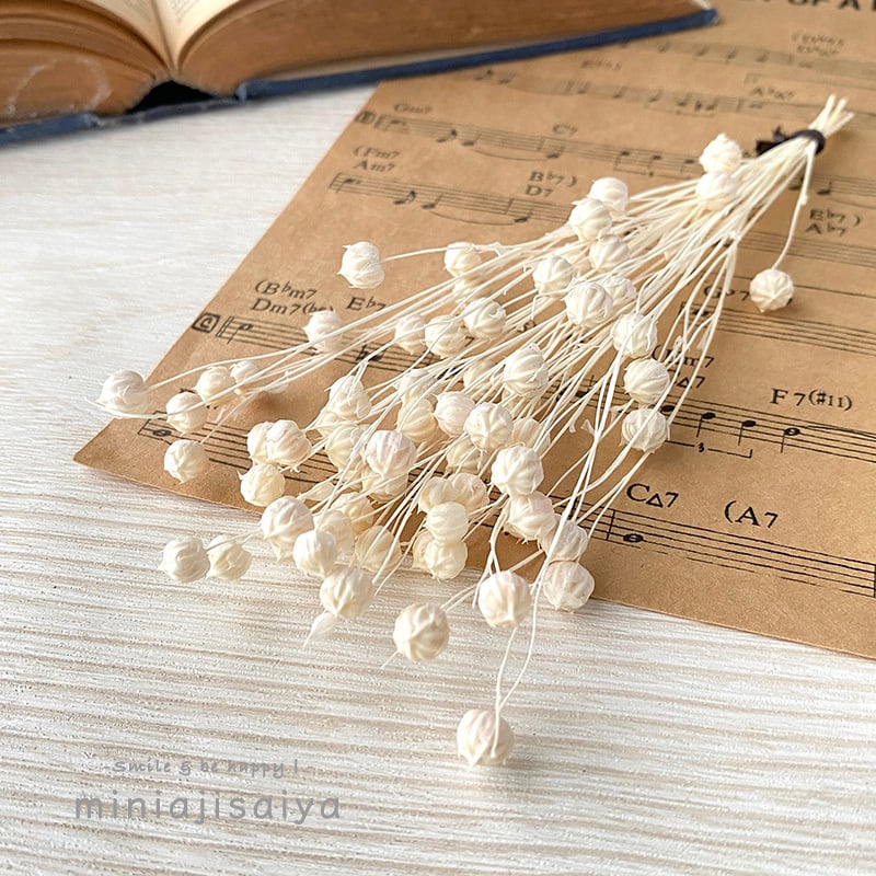 リンフラワー オフホワイト 【ドライフラワー】 | ちいさなあじさいや