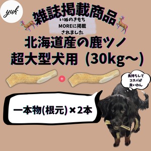 一本物　根元　2本セット　超大型犬用　蝦夷鹿のツノ　ワンちゃん用オモチャ　ドッグガム　鹿角