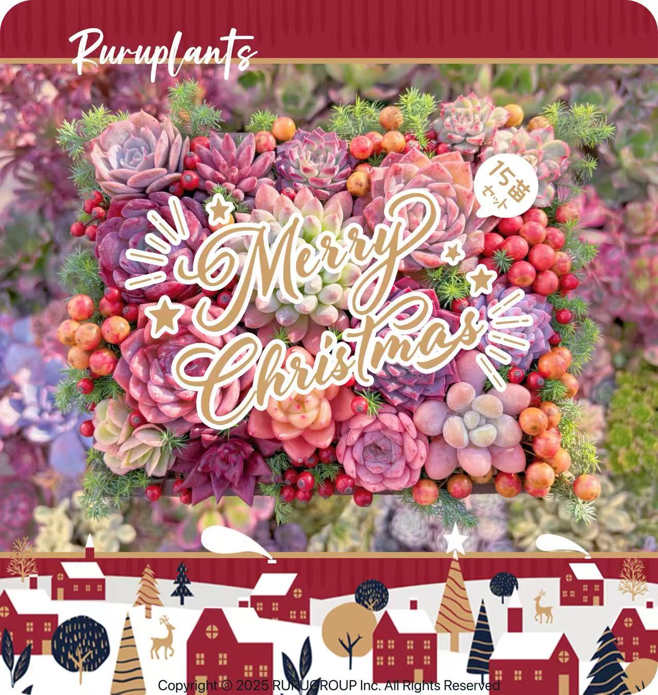 ★雪降るる★ホーリーナイト15苗セット