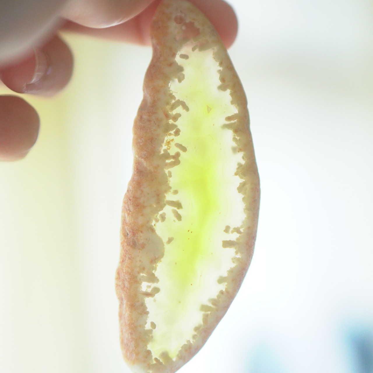 Lemon Soda 14 - アゲートヒーリングチャイム / Agate Sun Catcher Wind Chime 938