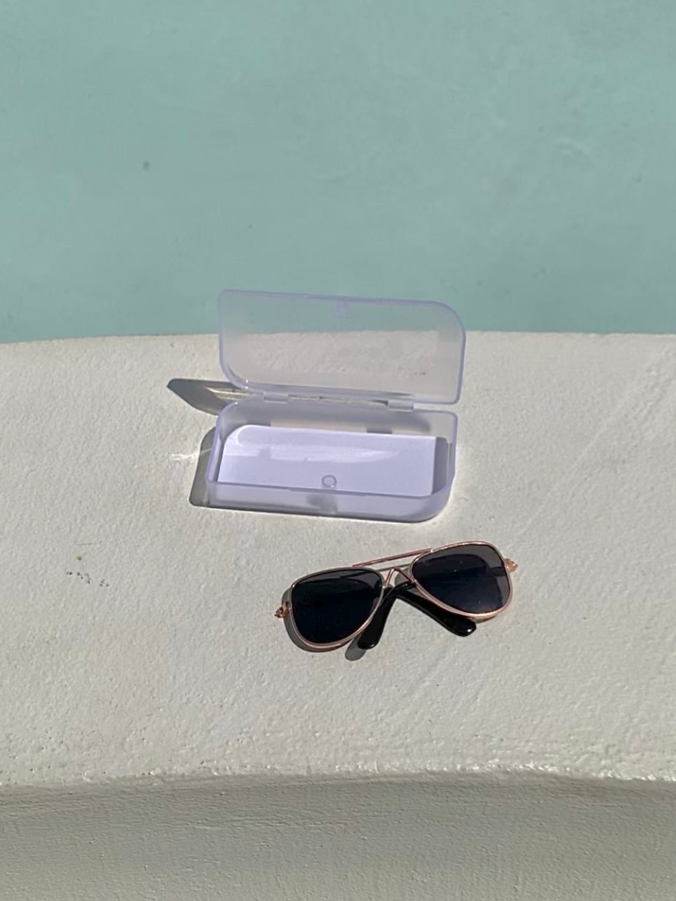 【seenii】Eyewear Case(メガネケース)