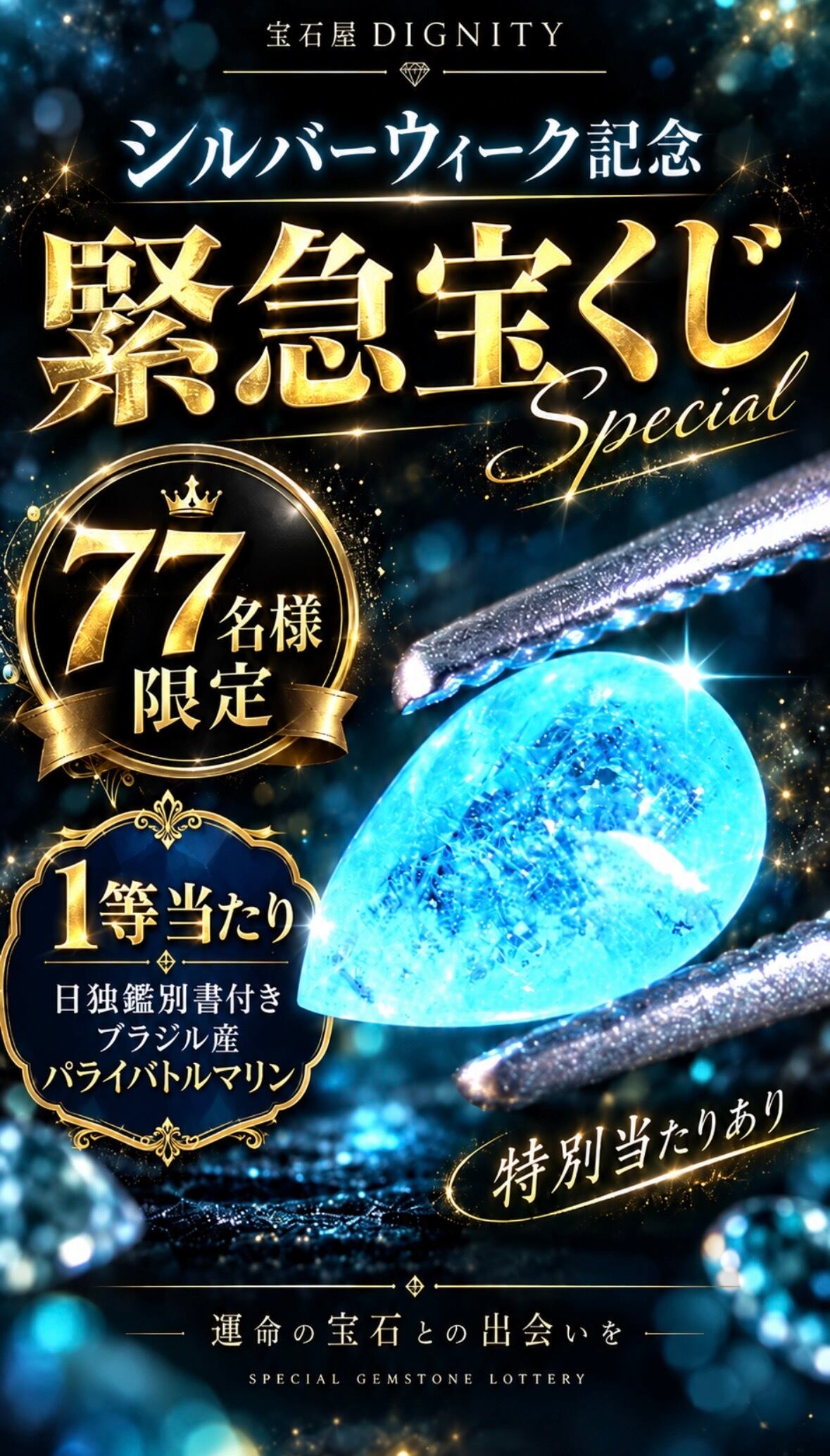 5連休記念】約タテ10~15mm BIGストーン555円本気企画 [DK-1962