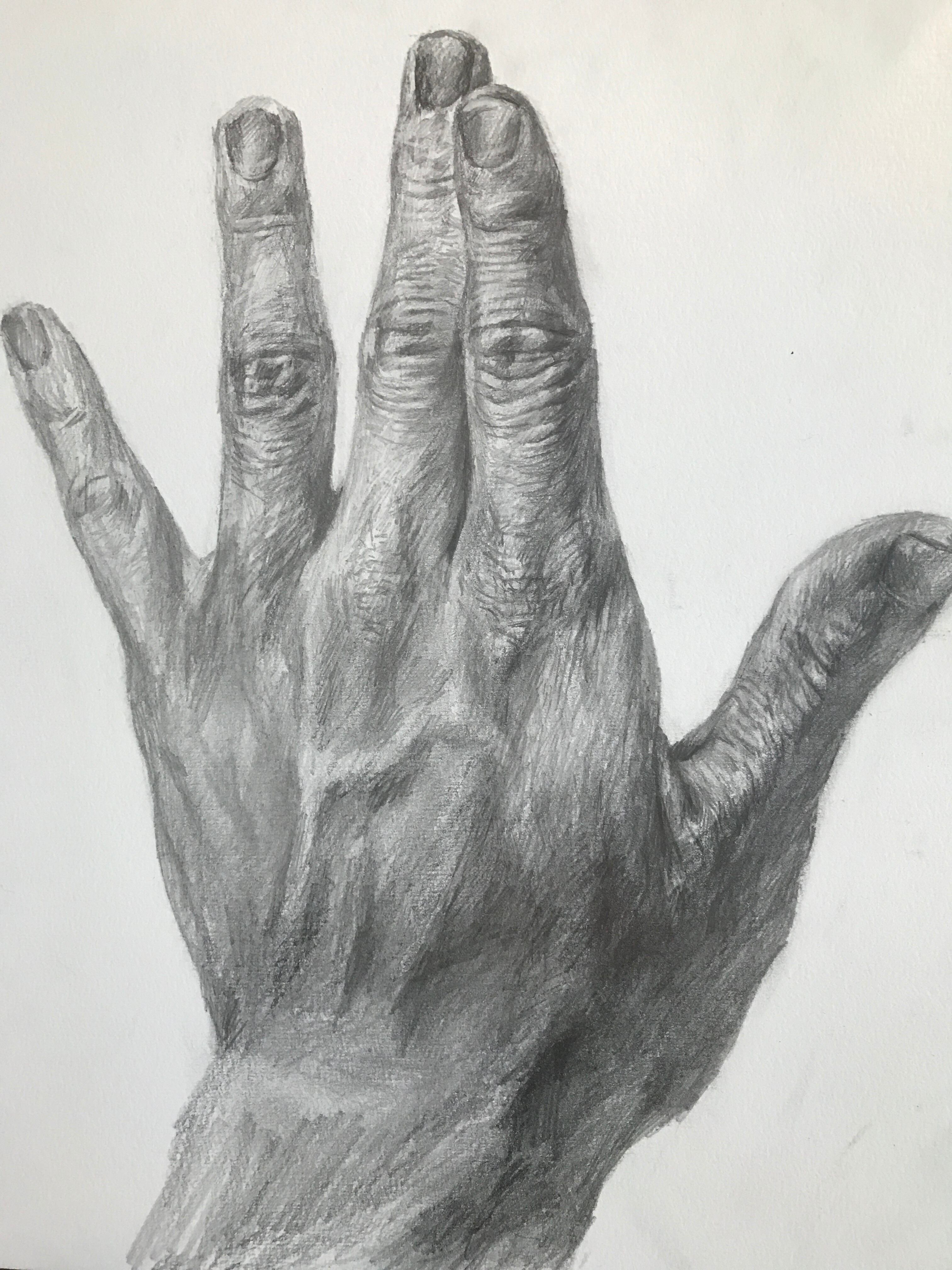 手 デッサン Koyo Morze