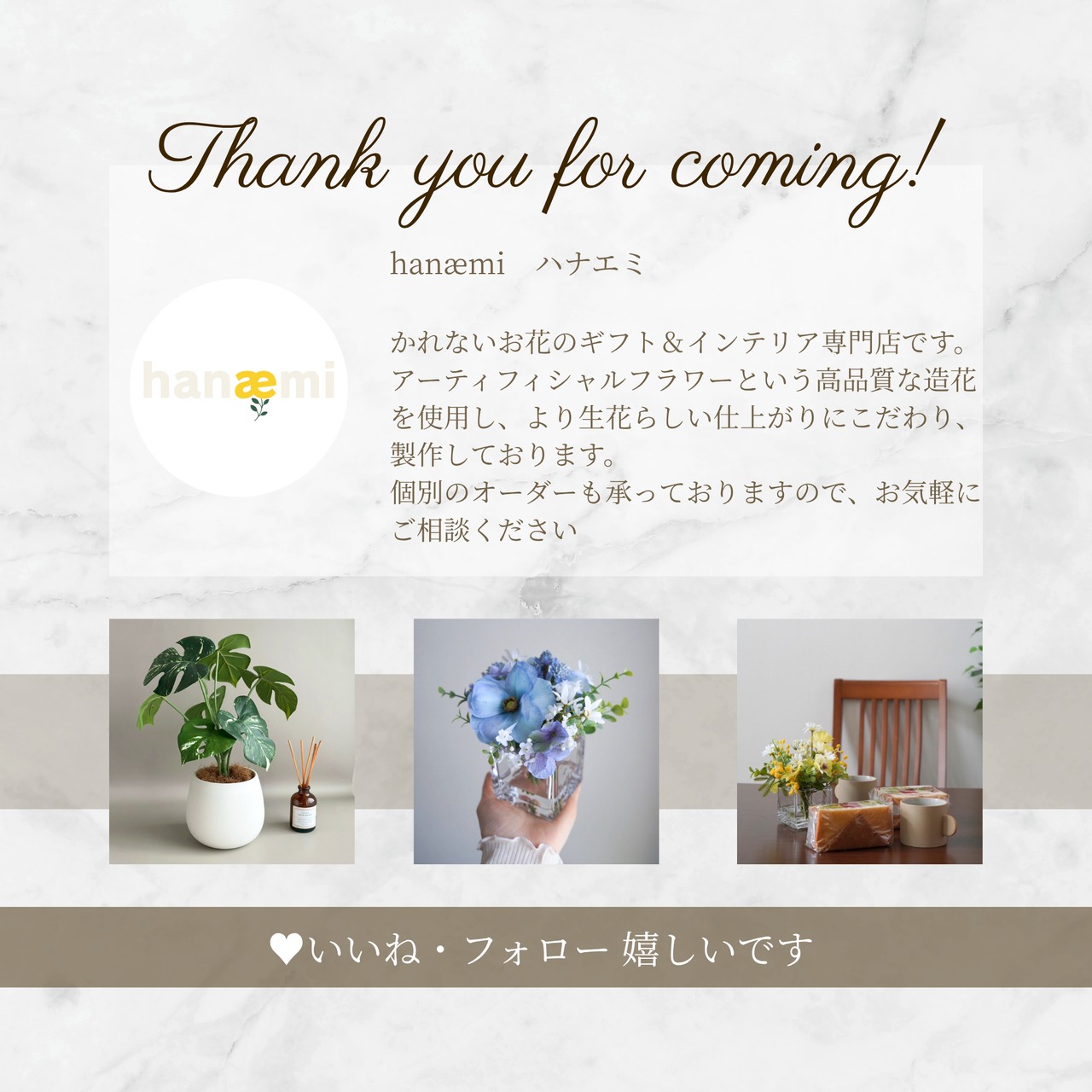 Green ノリナ 鉢付き フェイクグリーン