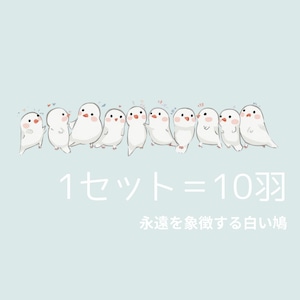 白い鳩 放鳥サービス 【結婚式・各種イベント】1セット(10羽)