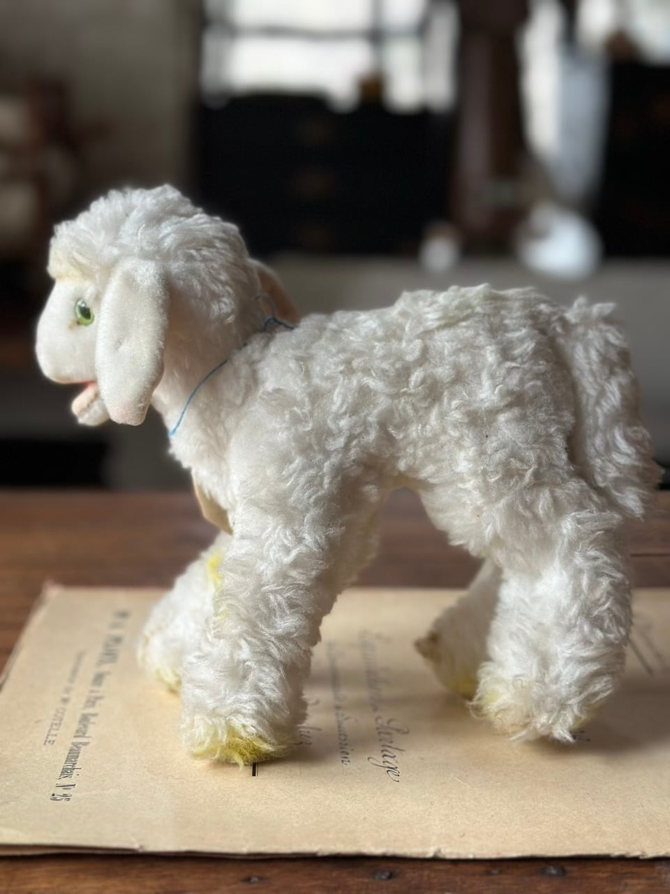 羊のぬいぐるみ Steiff(シュタイフ社製) Cosy Lamby | Brocante de La