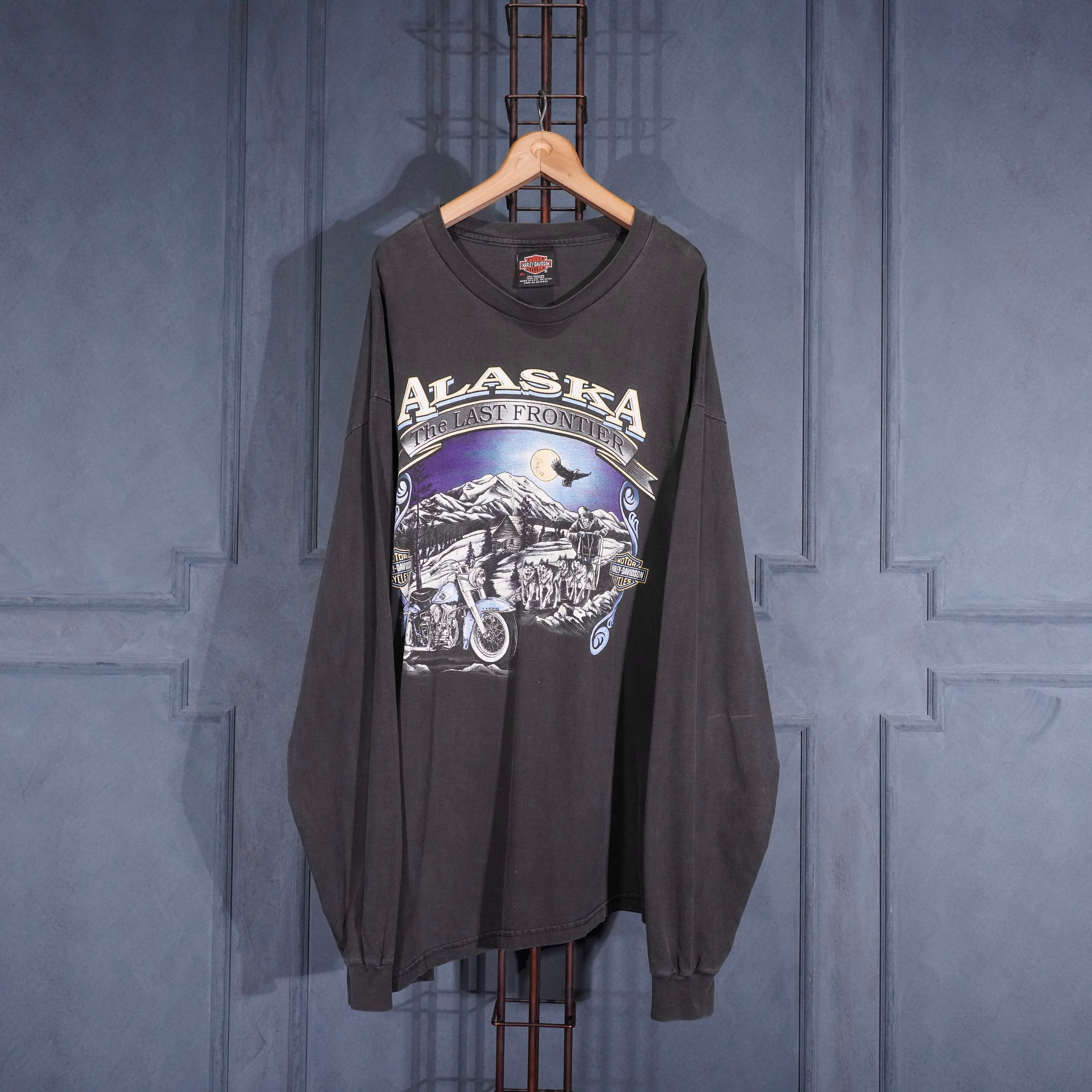90's USA VINTAGE HANES BEEFY T HARLEY DAVIDSON HOUSE OF DEALER