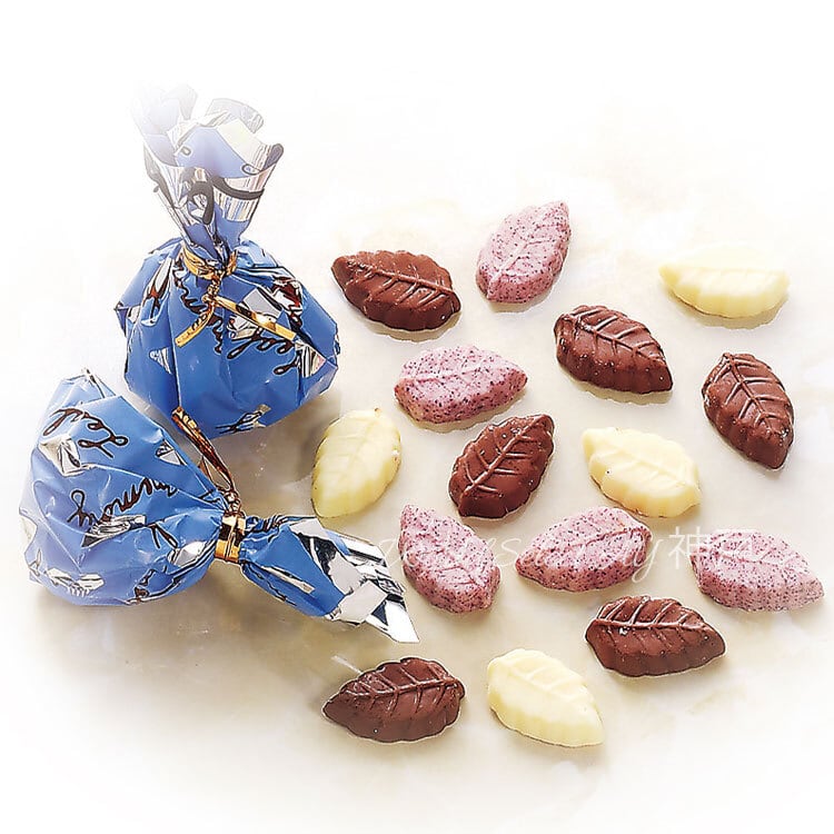モンロワール Petit pack プチパック リーフメモリー(青) チョコ 宅配