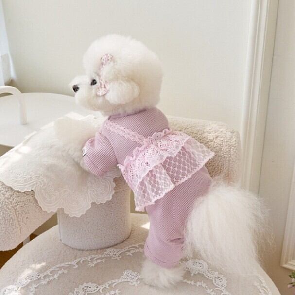 犬用ドレス アイボリー レース フリル すぐにお届け】犬服 レースフリルキャミ重ね着風ロンパース トップス