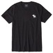 Abercrombie&Fitch ShortSleeve Icon Tee