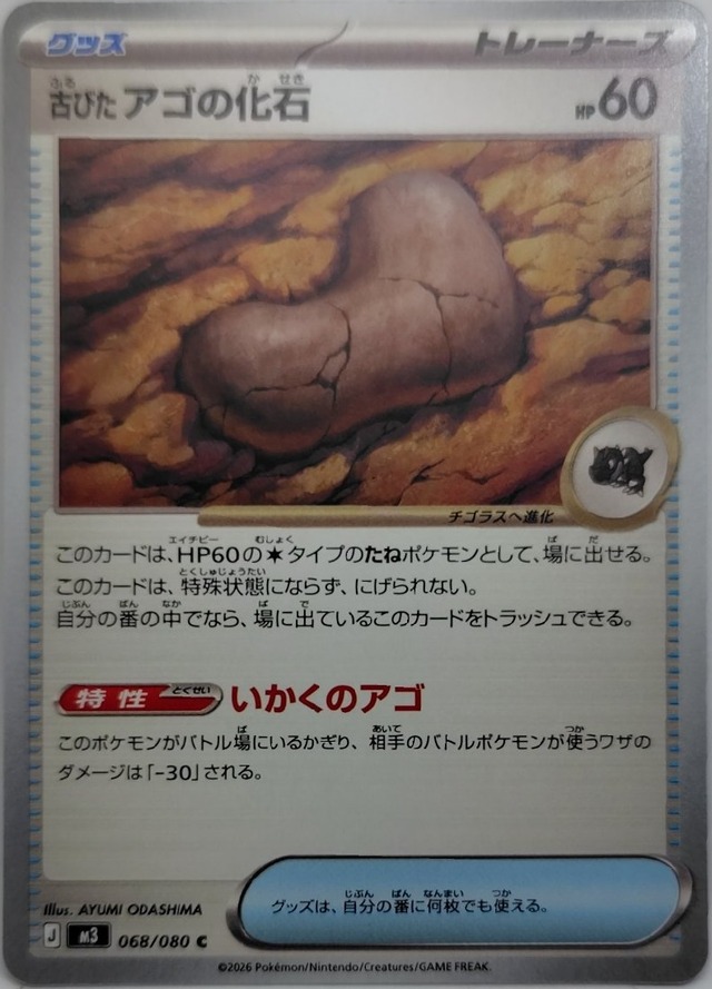 古びたアゴの化石【M3-068】[C]