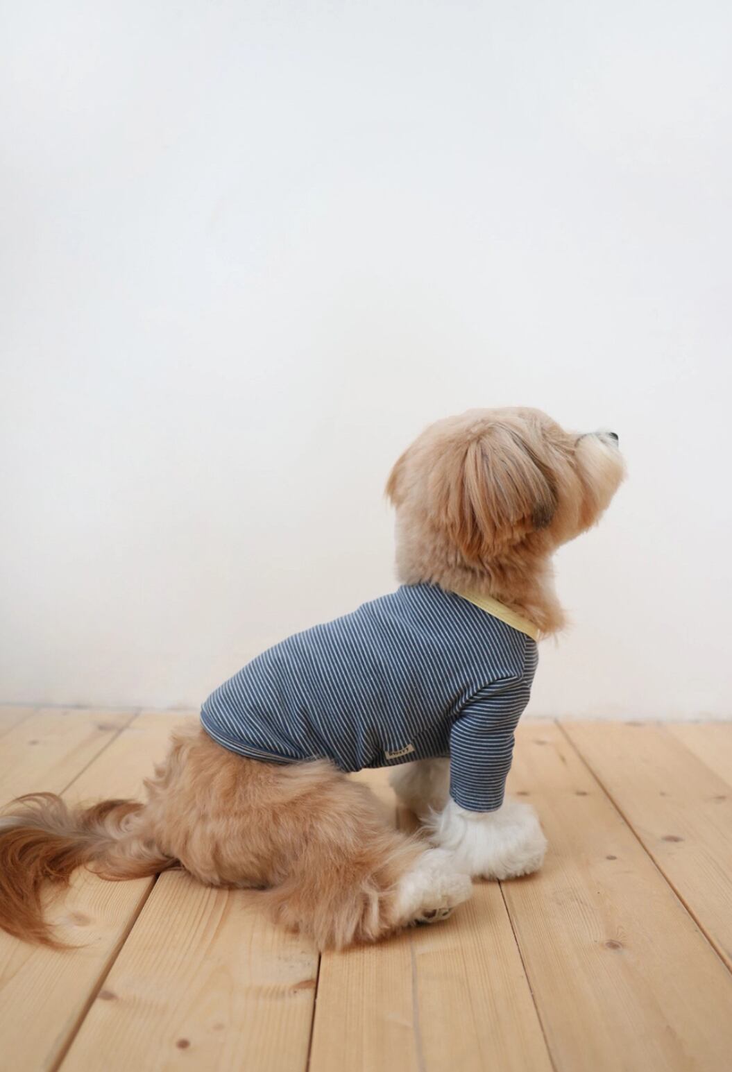 〈即納アイテム〉Dverry / ソフト ストライプ Tシャツ(Blue)