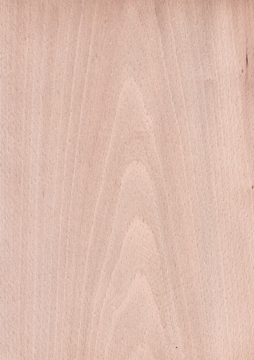 天然木ツキ板シート　ブナ　薄色系