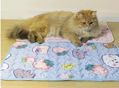 キャット 猫 ドッグ 犬 中型犬 小型犬 フレブル チワワ パグ ヨークシャテリア ミニチュアダックス カーペット 睡眠マット 睡眠 マット 雑貨カテゴリ かわいい カジュアル 個性的 クール キュート 春 夏 秋 室内 XS S M L XL ピンク 水色 ブルー ストロベリー 苺 魚 フィッシュ ダークブルー 快適 快適な睡眠 気持ちいい 清涼感 涼しい さわやか スムースコンフォート