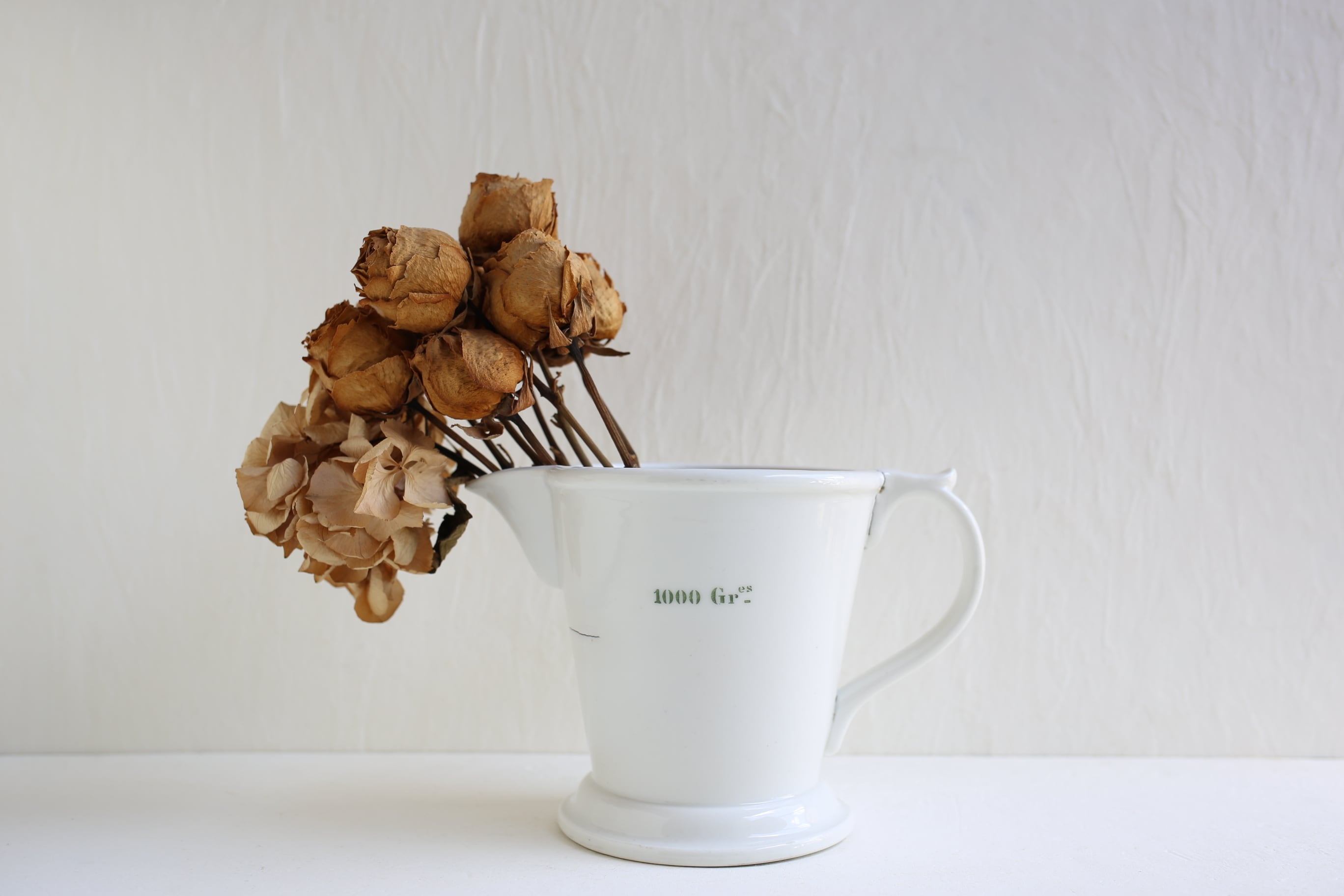 T.S., Handimaid in U.S.A. メジャーカップ　1930s T.S., Handimaid in U.S.A. メジャーカップ1930s