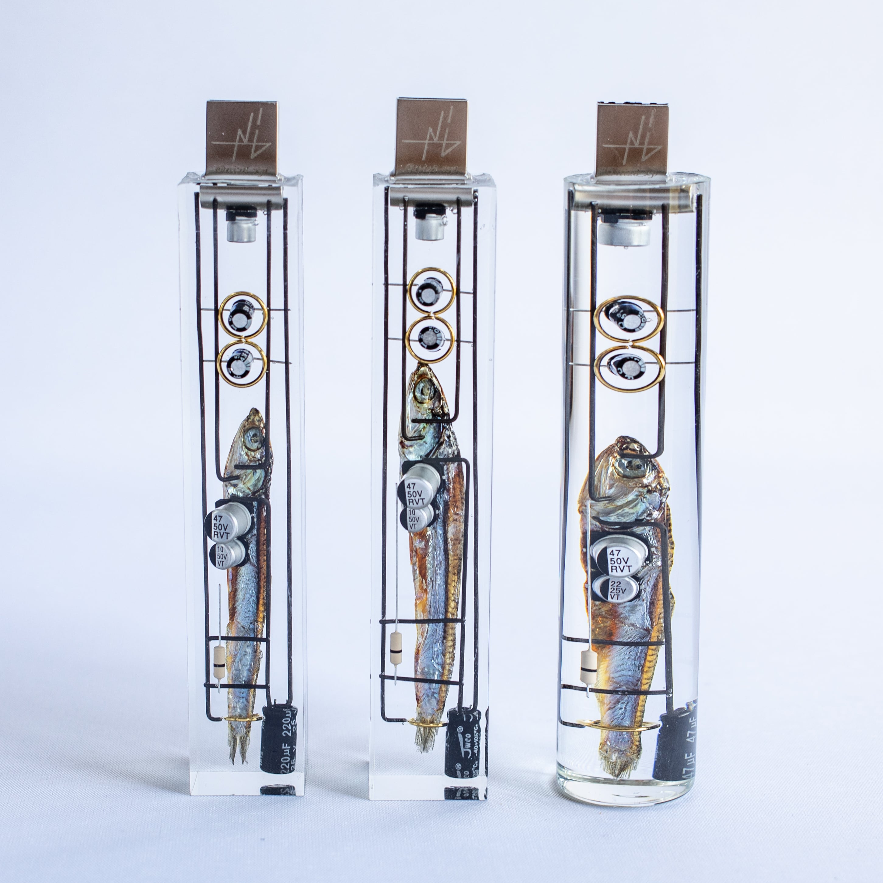 生体メモリ(64GB) Biological USB memory stick 魚に情報を記憶させる