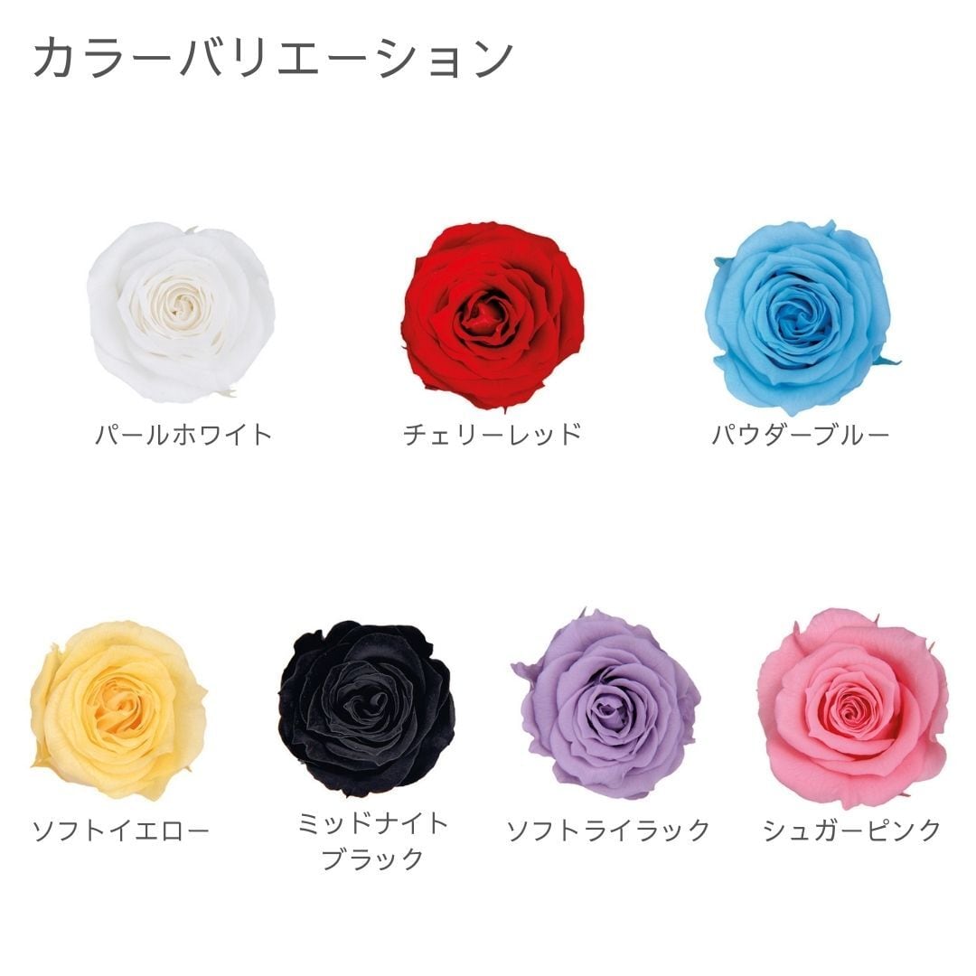 ピッコラBローズ 3P | ＋FLOWER・プラスフラワー・プリザーブド