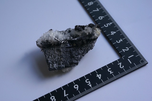 ガレナ / クォーツ / チャルコパイライト Galena / Quartz / Chalcopyrite