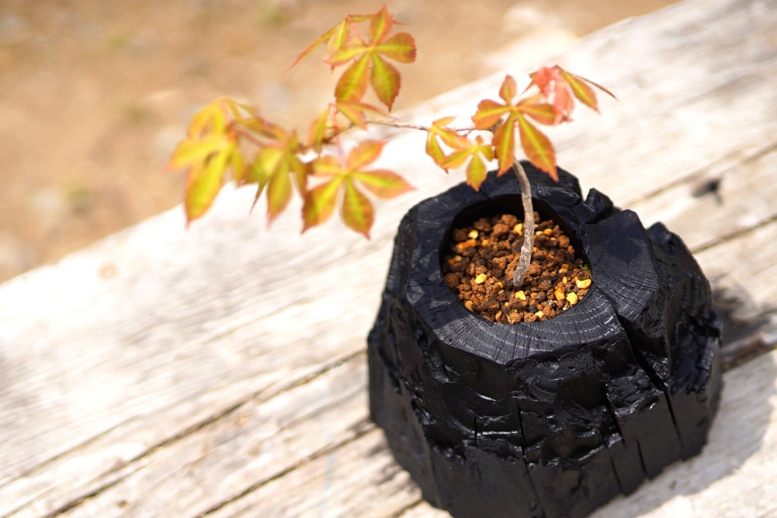 炭盆｜GreenGiftOutdoorsNagano｜長野県長野市信級 | TURNSのおすすめ