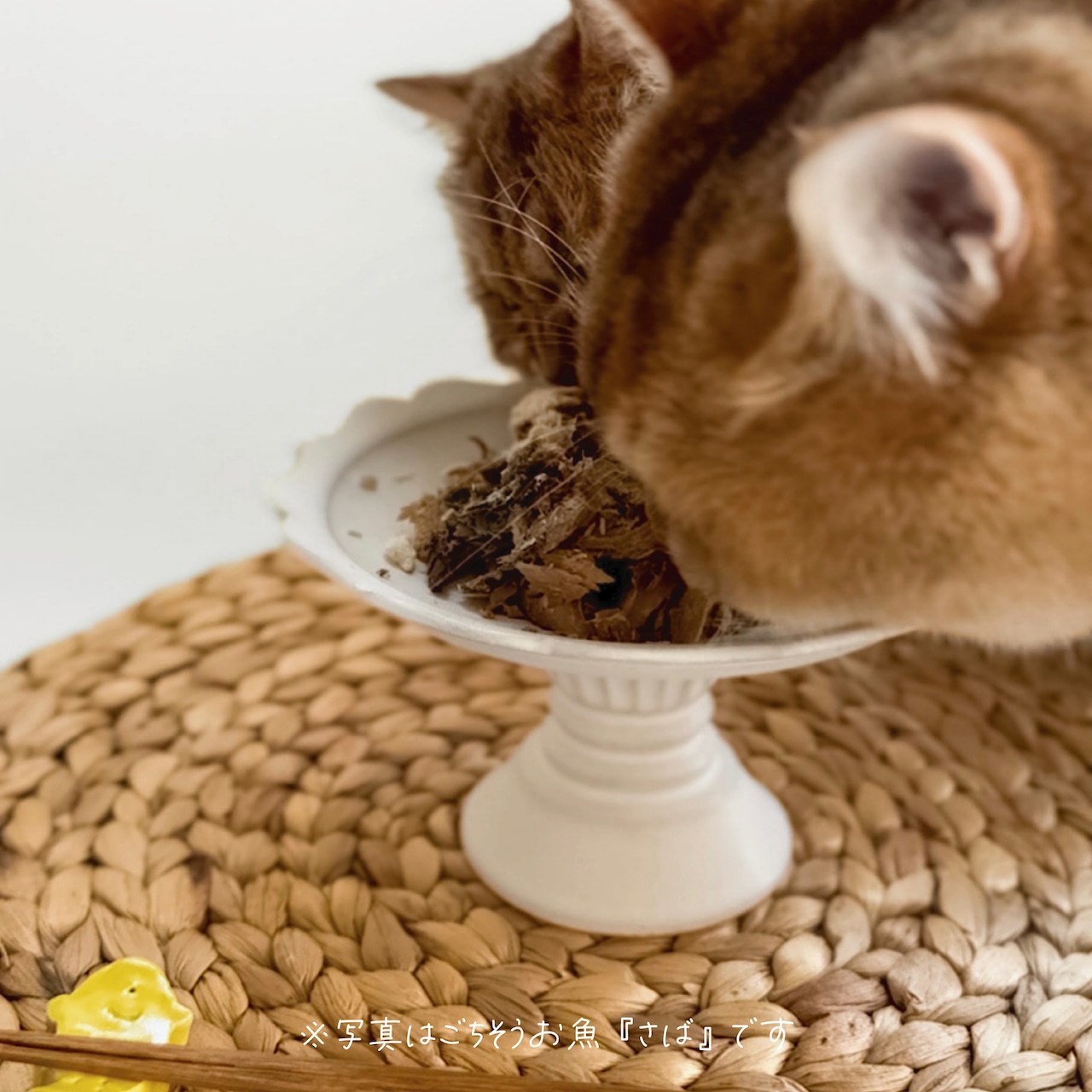 ごちそうお魚『穴子』